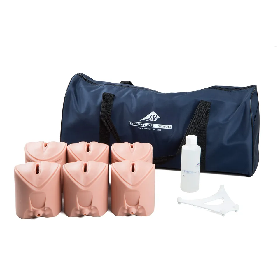 3b-scientific-p94-geburtsstadien-trainer-muttermund-set image 1