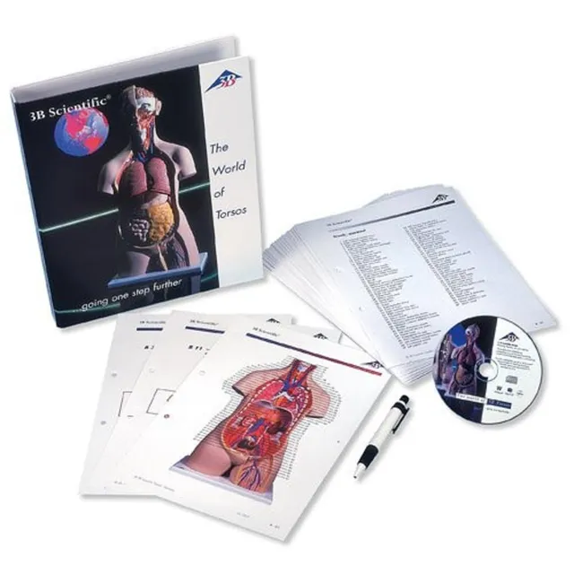 3b-scientific-torso-guide-mit-cd-rom-farbbild-anleitung-f-r-menschliche-anatomie image 1