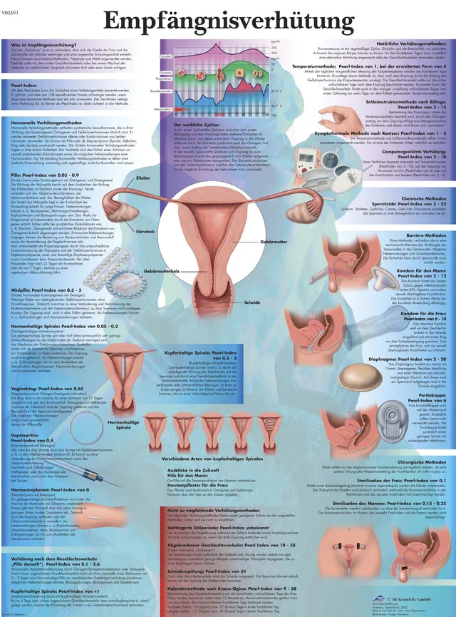 3b-scientific-lehrtafel-empf-ngnisverh-tung-poster-laminiert-50-x-67-cm image 1