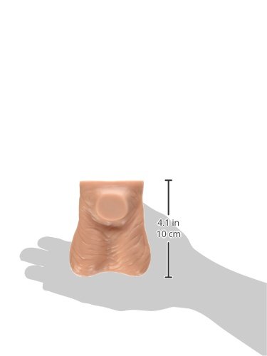 3b-scientific-l60-hodenmodell-lebensgro-er-selbstuntersuchungs-trainer-aus-silik image 7