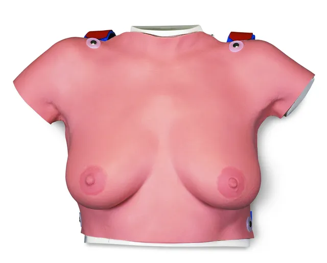 3b-scientific-brust-tastmodell-zum-umh-ngen-f-r-abtast-training image 1