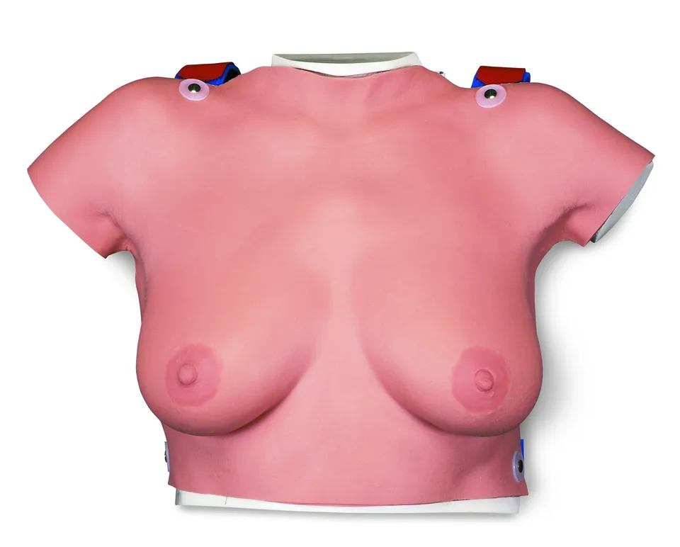 3b-scientific-brust-tastmodell-zum-umh-ngen-f-r-abtast-training image 1
