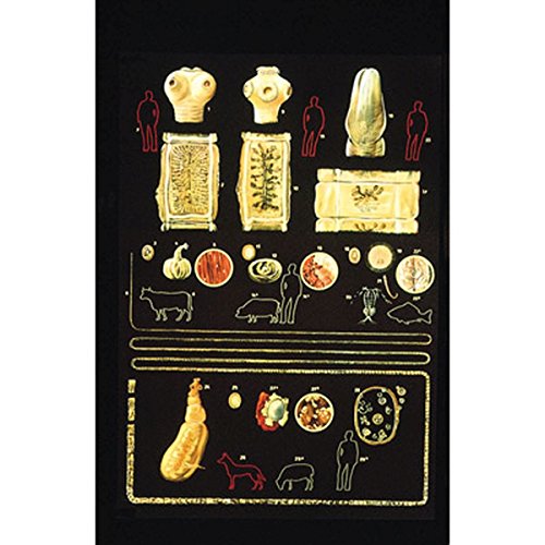 3b-scientific-lehrtafel-darmparasiten-i-anatomie-poster-84x200-cm-ohne-best-bung image 2