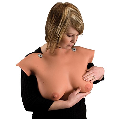 3b-scientific-brust-tastmodell-zum-umh-ngen-palpations-trainer-f-r-selbstuntersu image 4