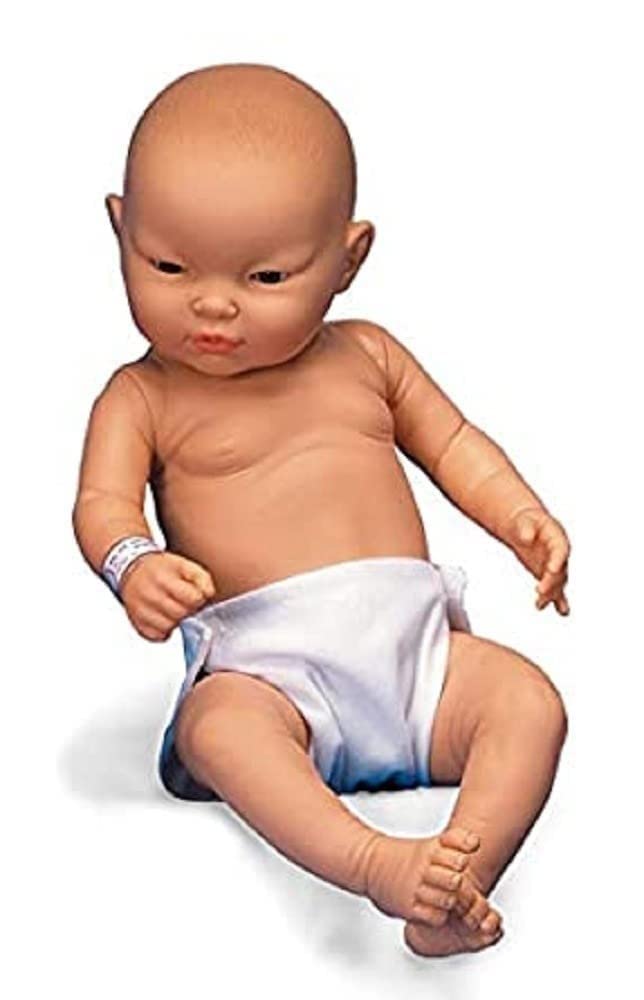 3b-scientific-w17001-babypflegemodell-weiblich-kaukasisch-50-cm image 5
