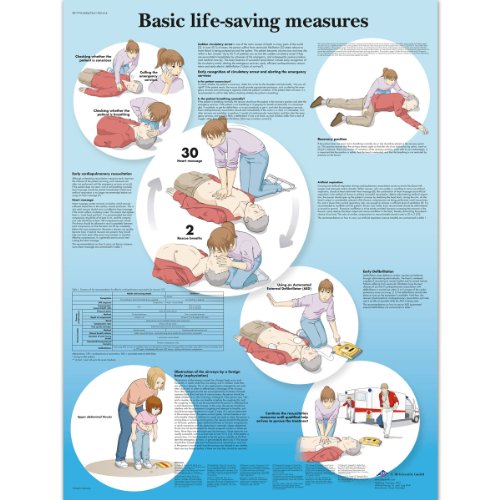 3b-scientific-lehrtafel-basic-life-support-englisch-50x67-cm image 4