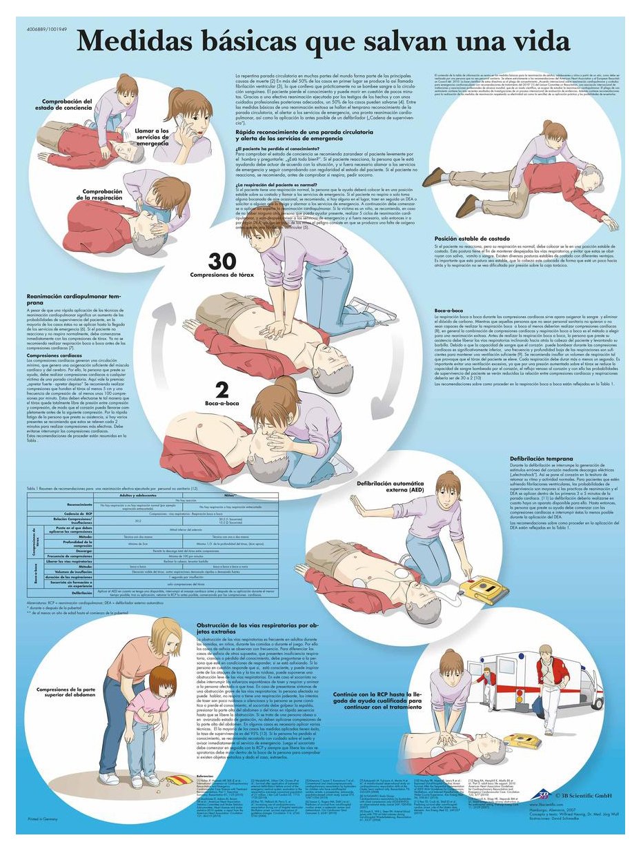 3b-scientific-lehrtafel-basisma-nahmen-retten-laminiertes-anatomie-diagramm-50x6 image 2
