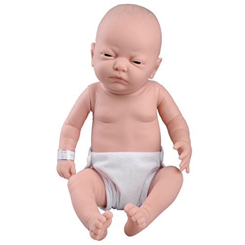 3b-scientific-w17001-babypflegemodell-weiblich-kaukasisch-50-cm image 8