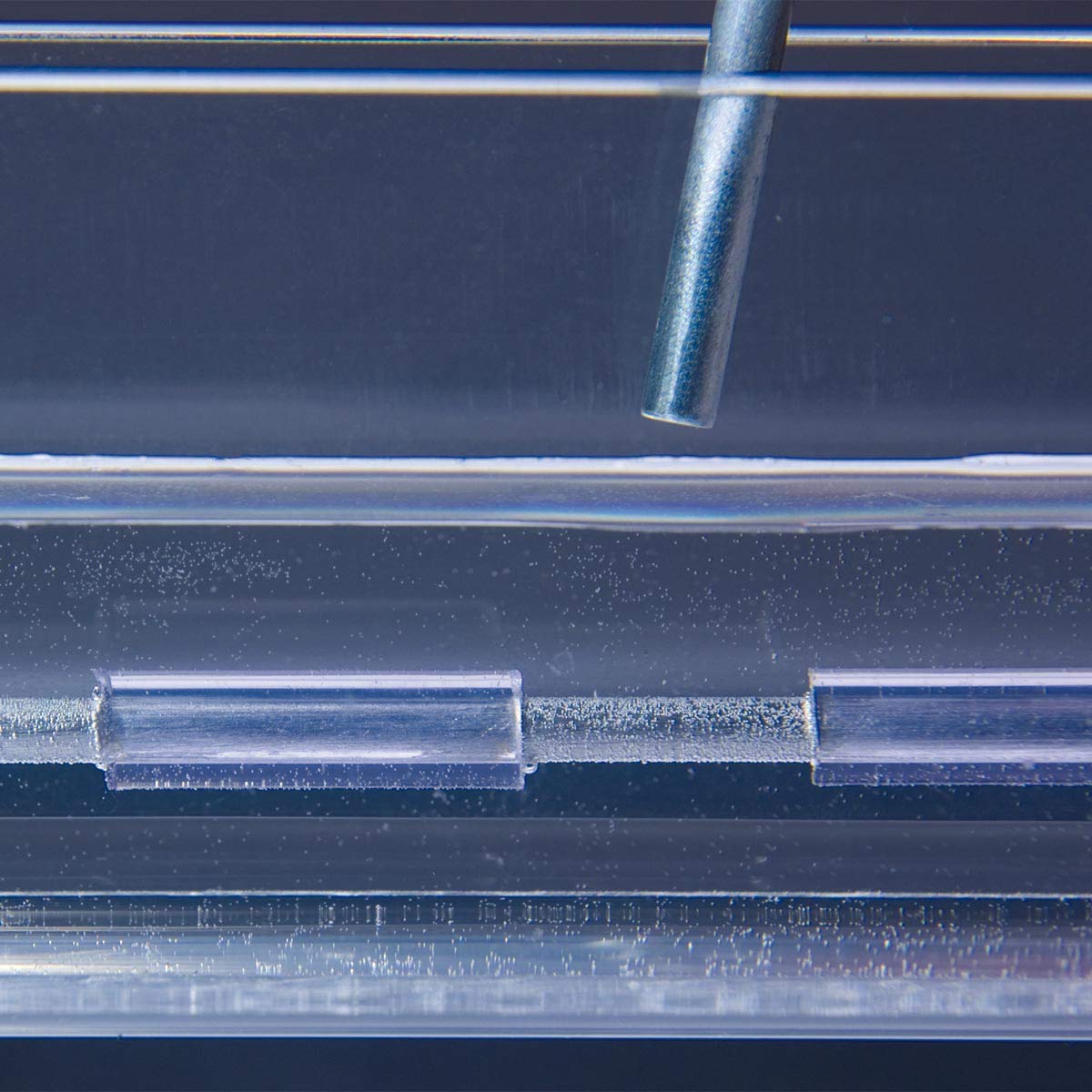 3b-scientific-experimentiersatz-reizleitung-an-nervenfasern-nach-ducci-oetken image 4