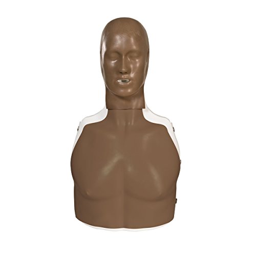 3b-scientific-p72-1-basic-billy-basic-life-support-simulator-dunkel-reanimations image 7