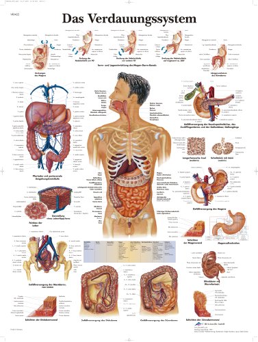 3b-scientific-vr0422uu-lehrtafel-das-verdauungssystem-anatomie-poster-50x67-cm image 4