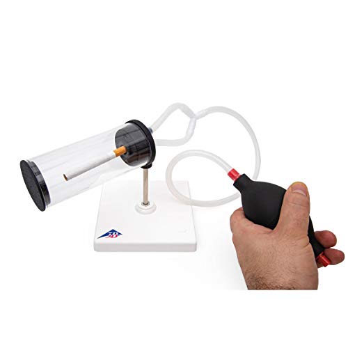 3b-scientific-rauchermodell-3-in-1-lungenmodell-rauchen-passivrauchen image 6
