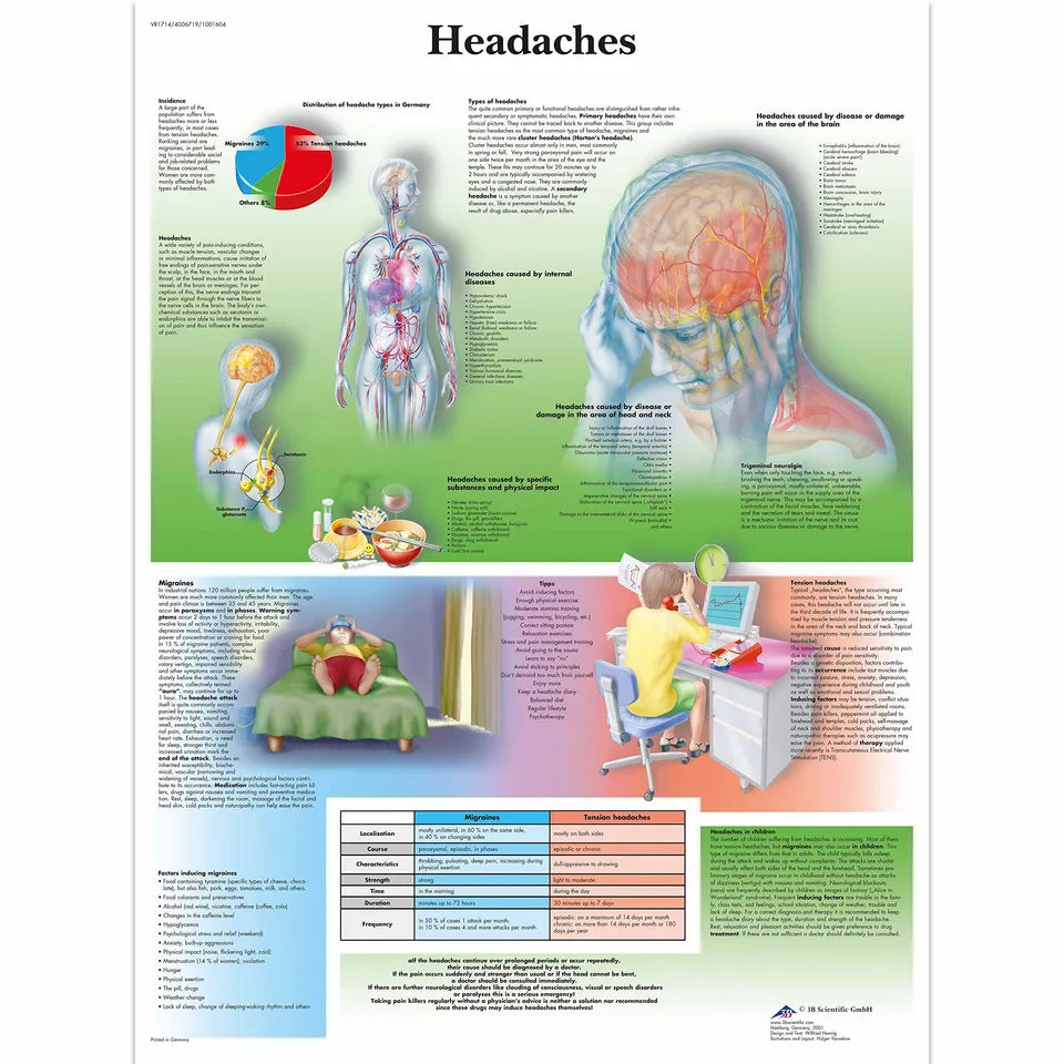 3b-scientific-chart-kopfschmerzen-anatomie-poster-50x67-cm-papierversion image 1