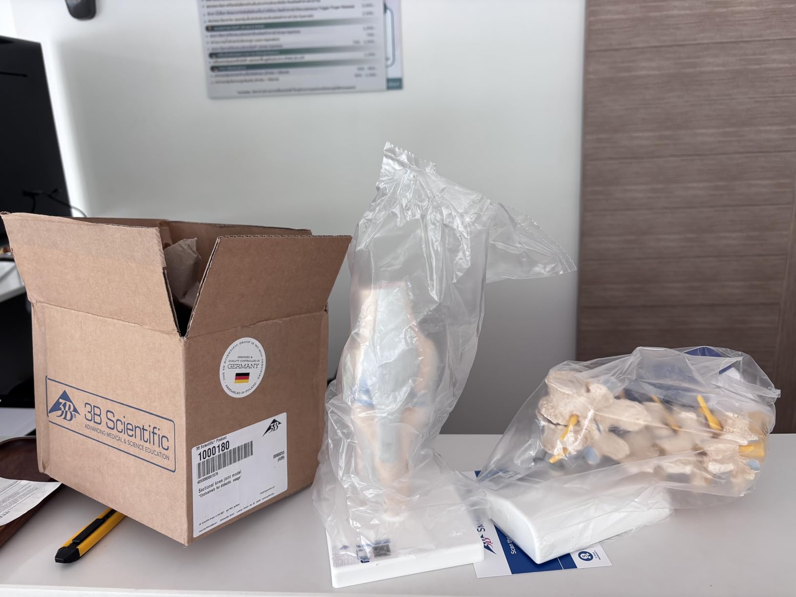 Endlich verstehen Patienten was los ist
