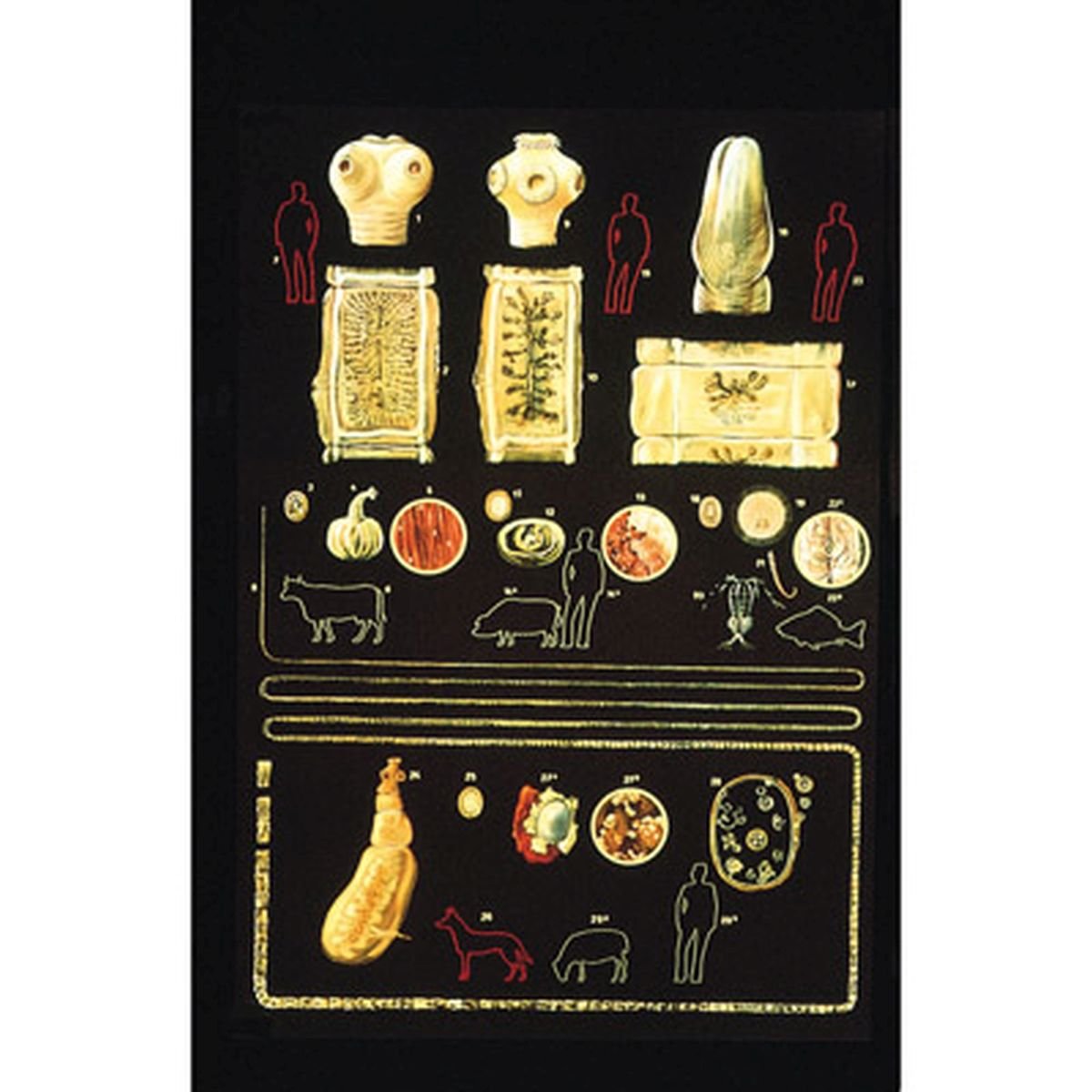 3b-scientific-lehrtafel-darmparasiten-i-anatomie-poster-84x200-cm-ohne-best-bung image 1