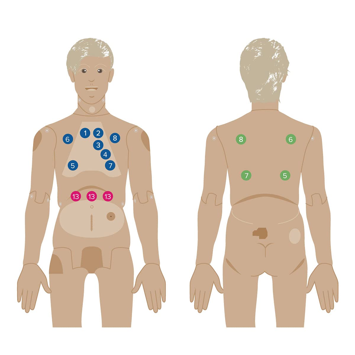 3b-scientific-pflegetrainingspuppe-nikki-mit-auskultation-erwachsen-lebensgro image 4
