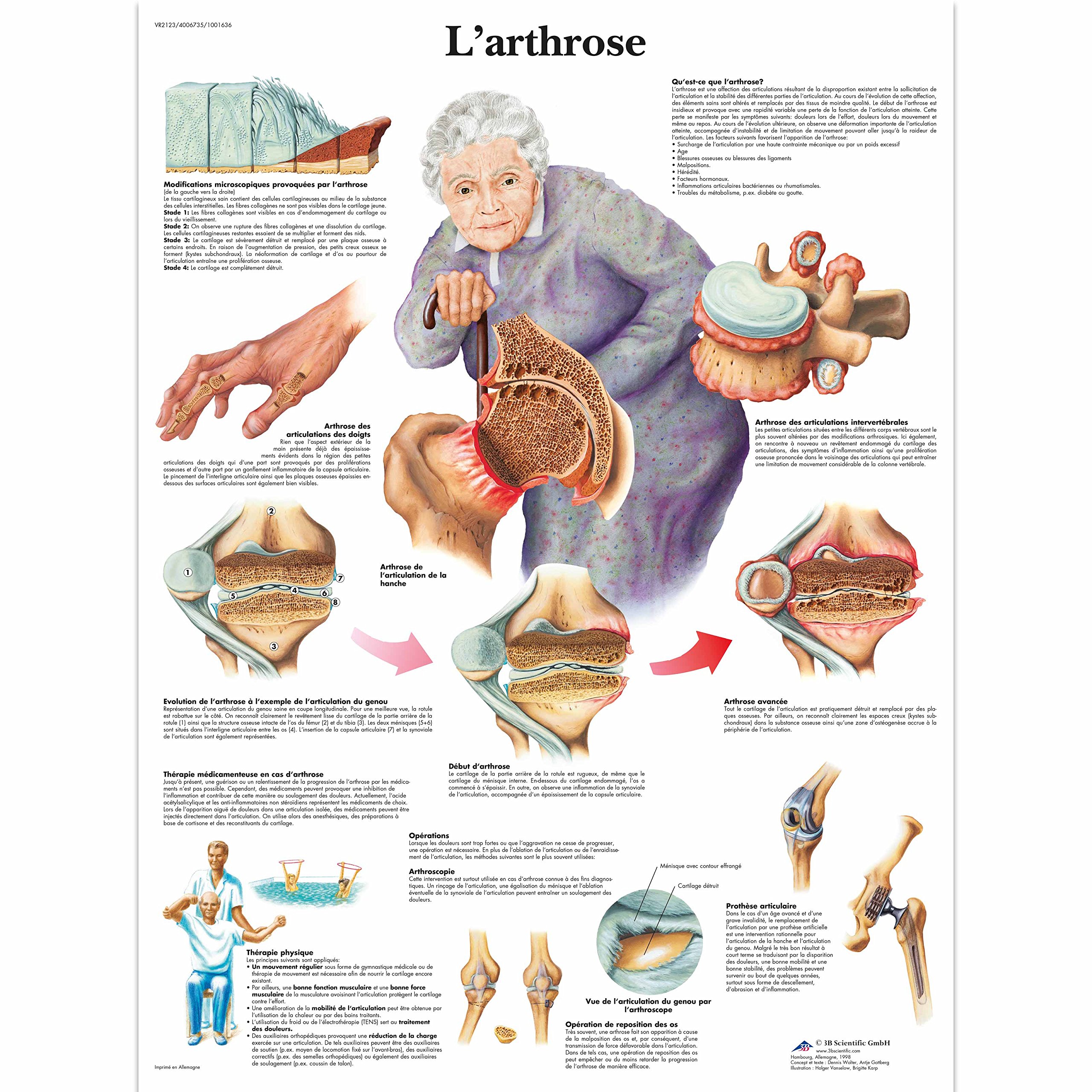 3b-scientific-lehrtafel-nervensystem-laminiertes-anatomieposter-50-x-67-cm image 2