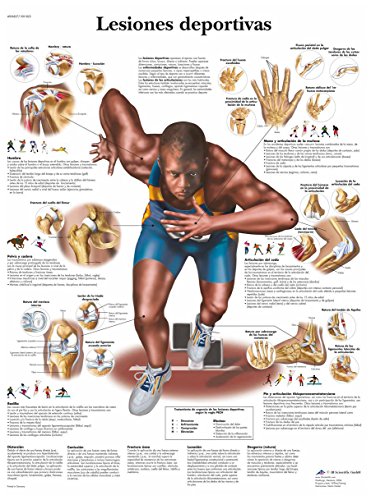 3b-scientific-sportverletzungen-tafel-laminiertes-anatomieposter-50x67-cm image 4