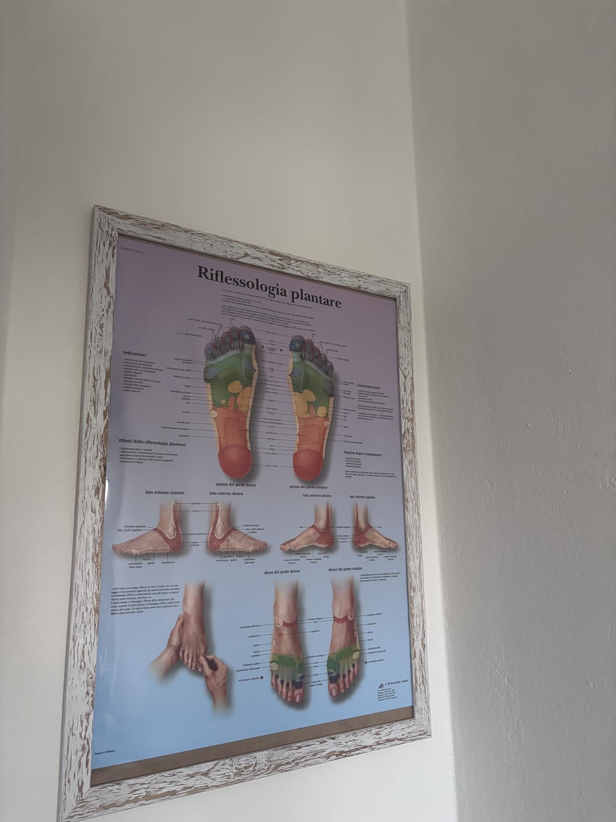 Perfekt zum Lernen