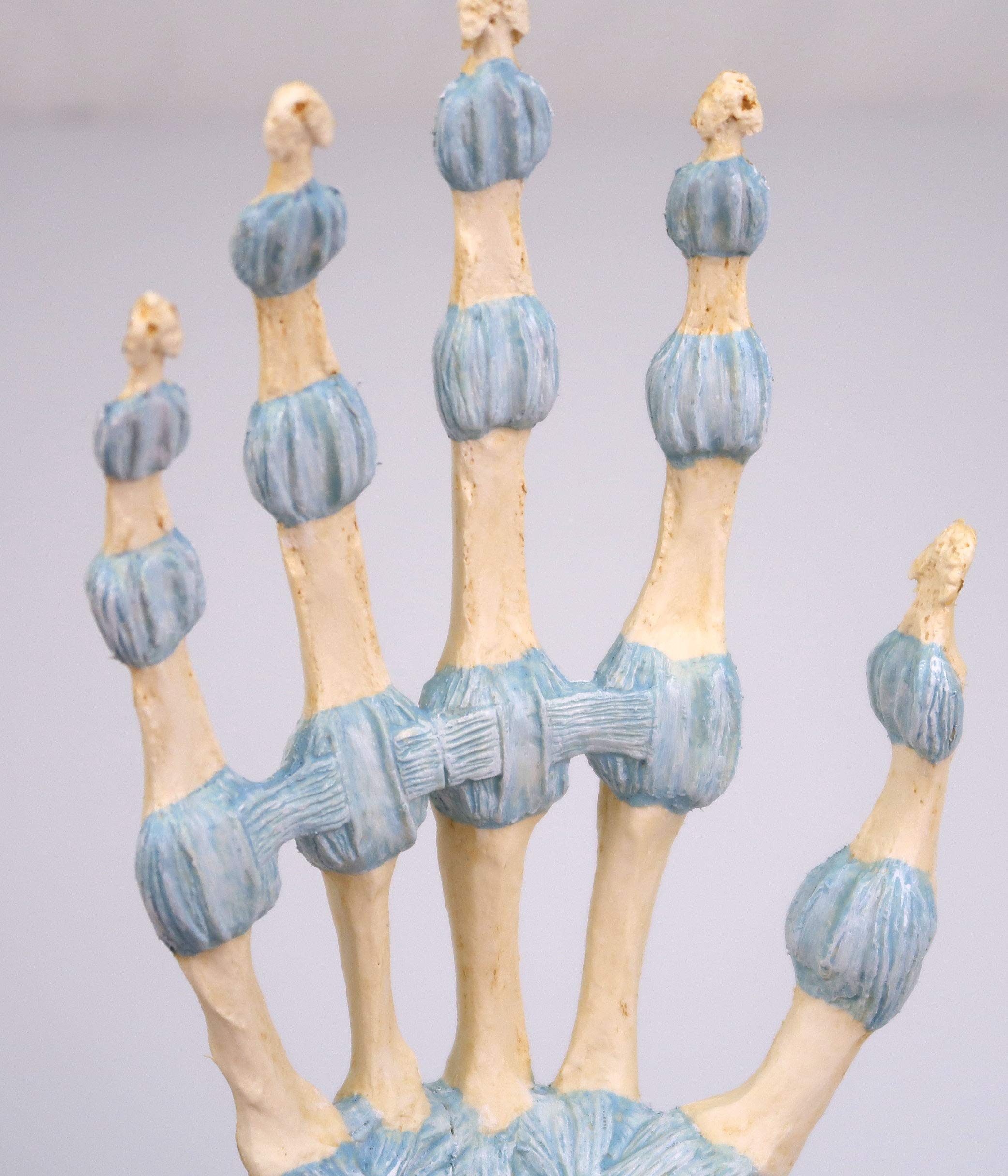 3b-scientific-handskelett-modell-handknochen-mit-b-ndern-karpaltunnel-smart-anat image 3