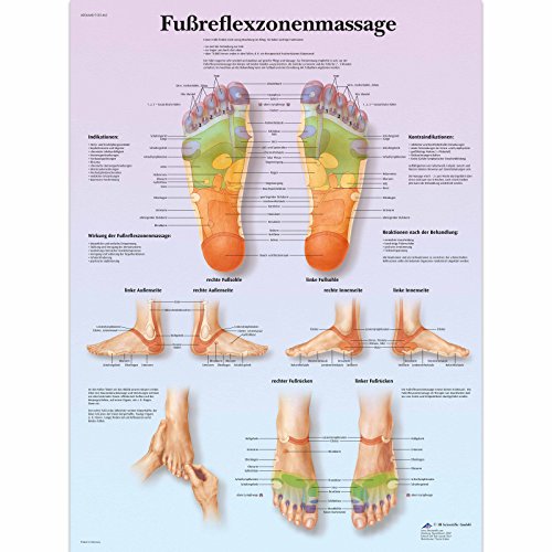 3b-scientific-lehrtafel-fu-reflexzonenmassage-laminiertes-poster-50-x-67-cm image 2