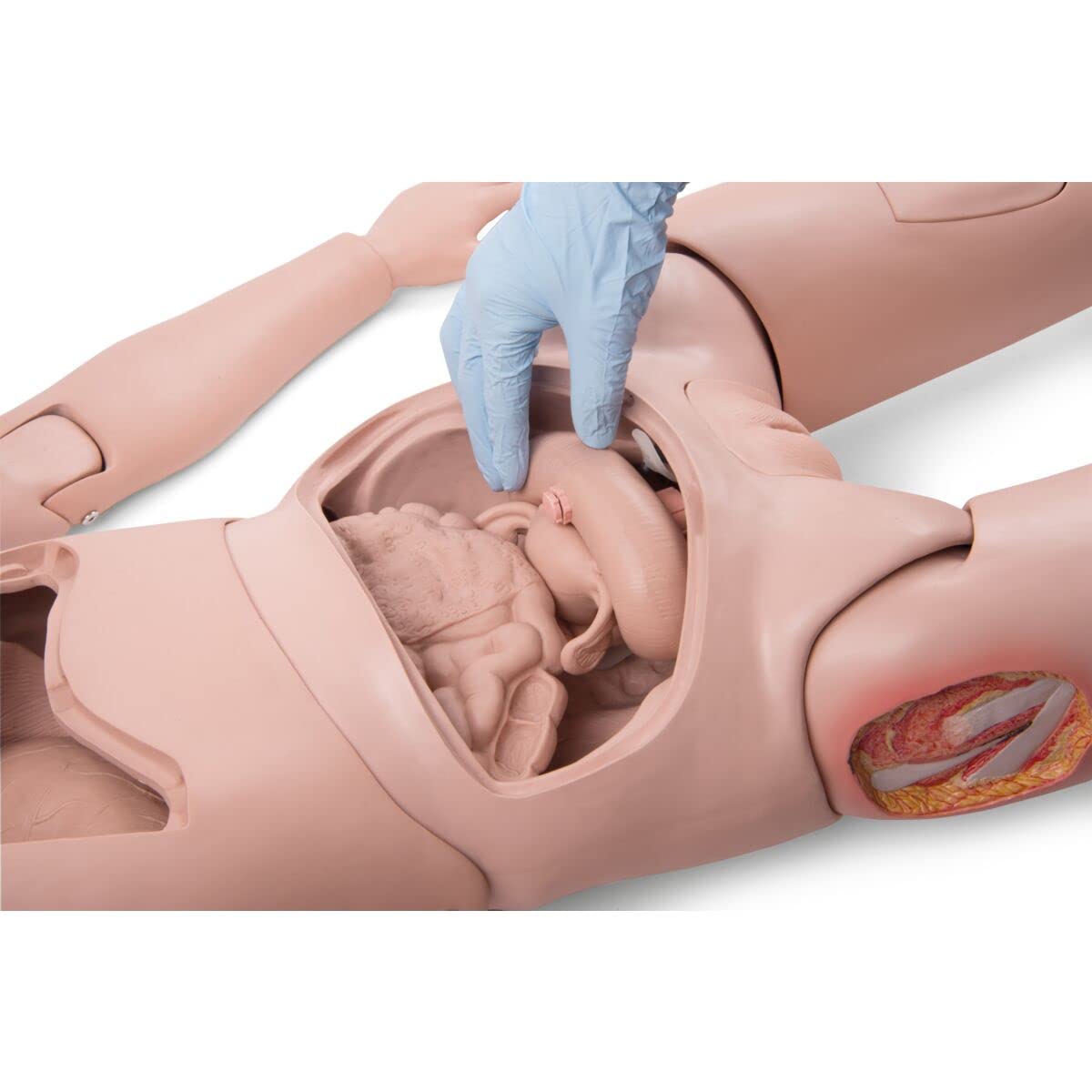 3b-scientific-pflegetrainingspuppe-nikki-mit-auskultation-erwachsen-lebensgro image 6