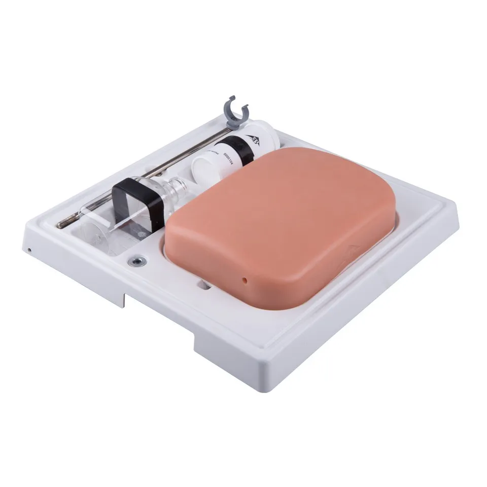 3b-scientific-p120-sonotrain-ultraschall-venenmodell-venen-trainer-f-r-ultrascha image 1