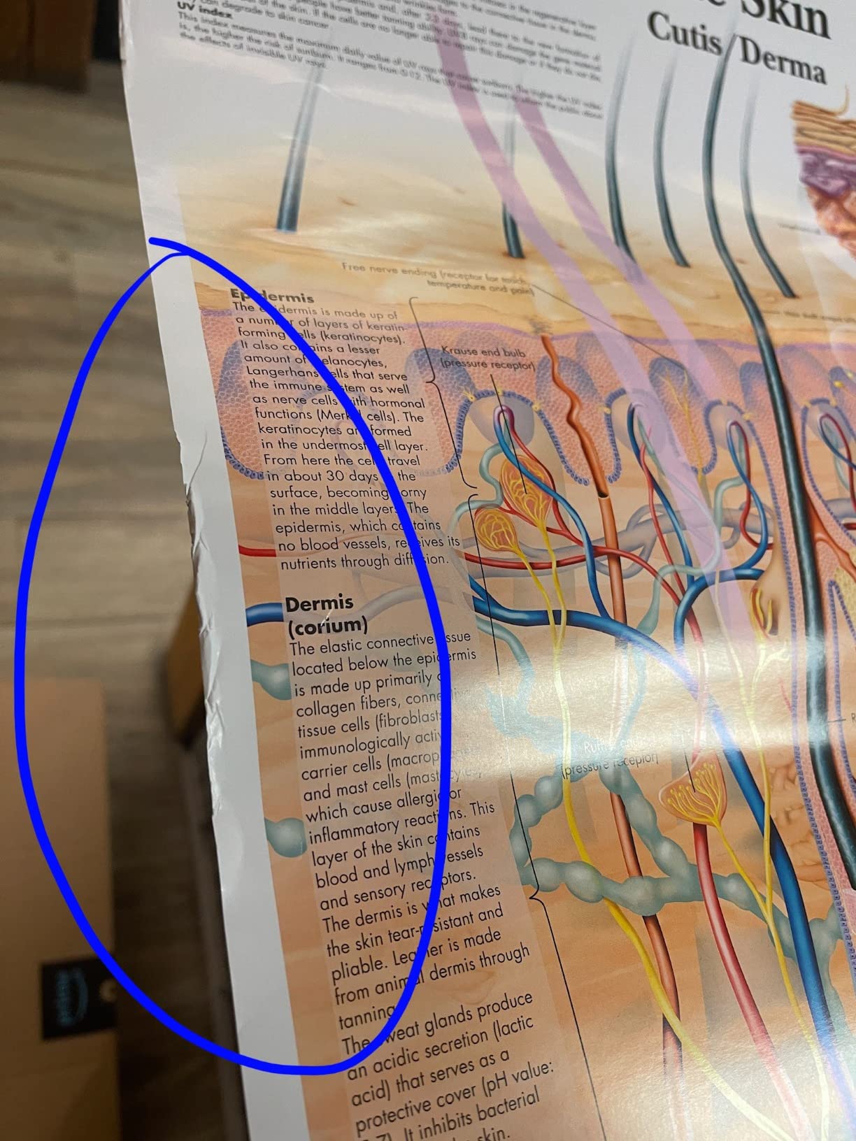 Schön detailliert