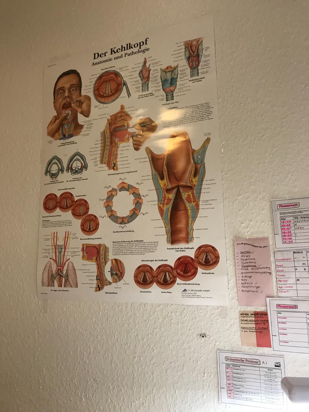 Top für Logopädie