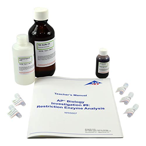 3b-scientific-biotech-dna-restriktionsenzymanalyse-laborset-f-r-8-gruppen image 2