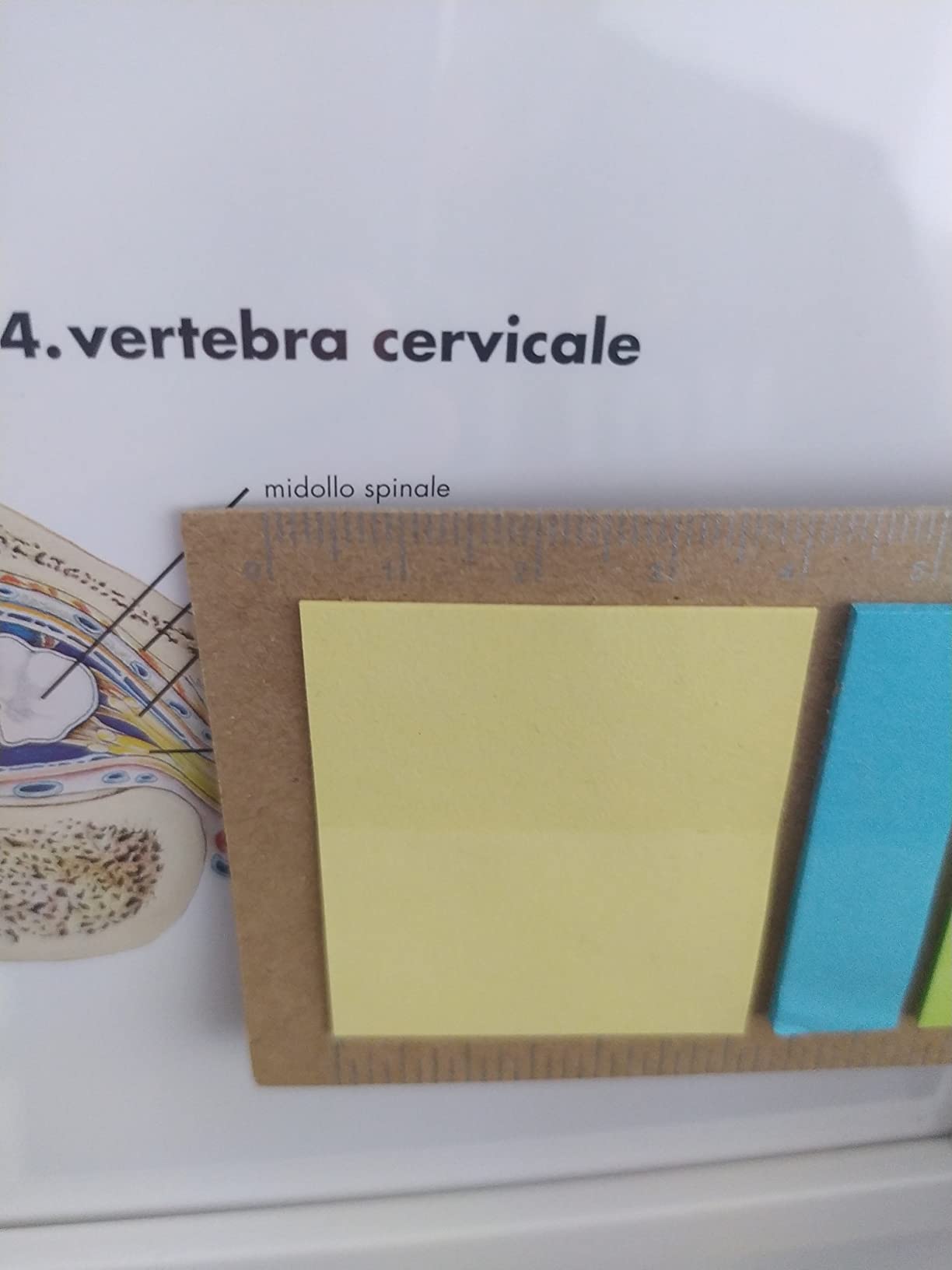 Chiara e ben stampata