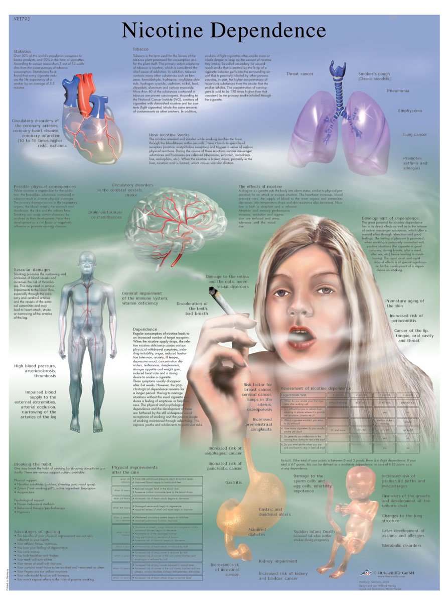 3b-scientific-nikotinabh-ngigkeit-lehrtafel-papierposter-50-x-67-cm image 2