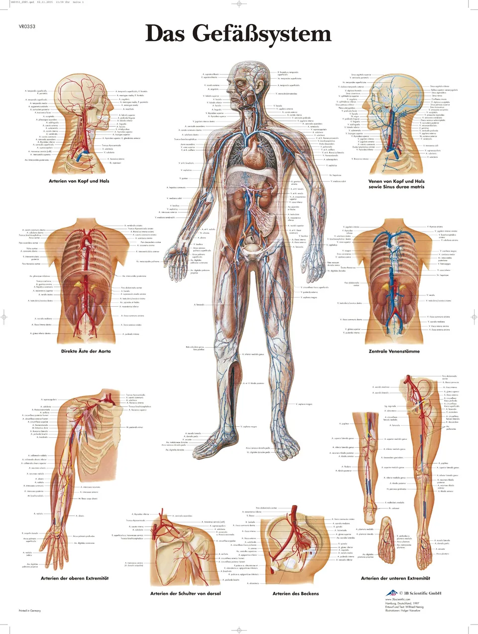 3b-scientific-menschliches-gef-system-tafel-laminiertes-anatomieposter-50x67-cm image 1