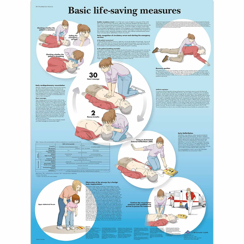 3b-scientific-lehrtafel-basic-life-support-englisch-50x67-cm image 1