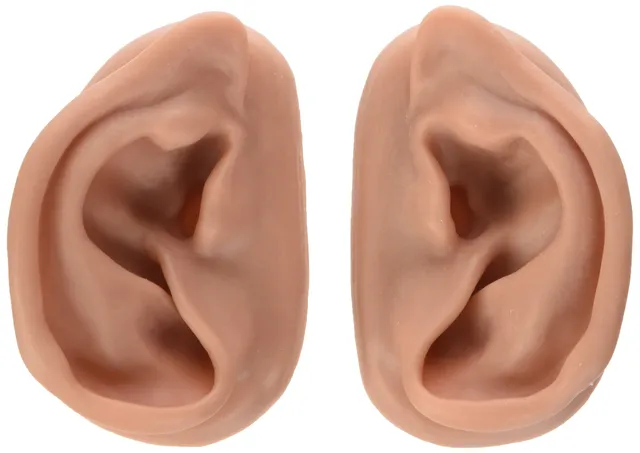 3b-scientific-n15-akupunktur-ohrset-links-und-rechts-mit-seirin-nadeln image 1