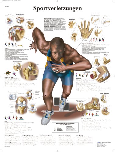 3b-scientific-lehrtafel-sportverletzungen-vr0188uu-50-x-67-cm image 2