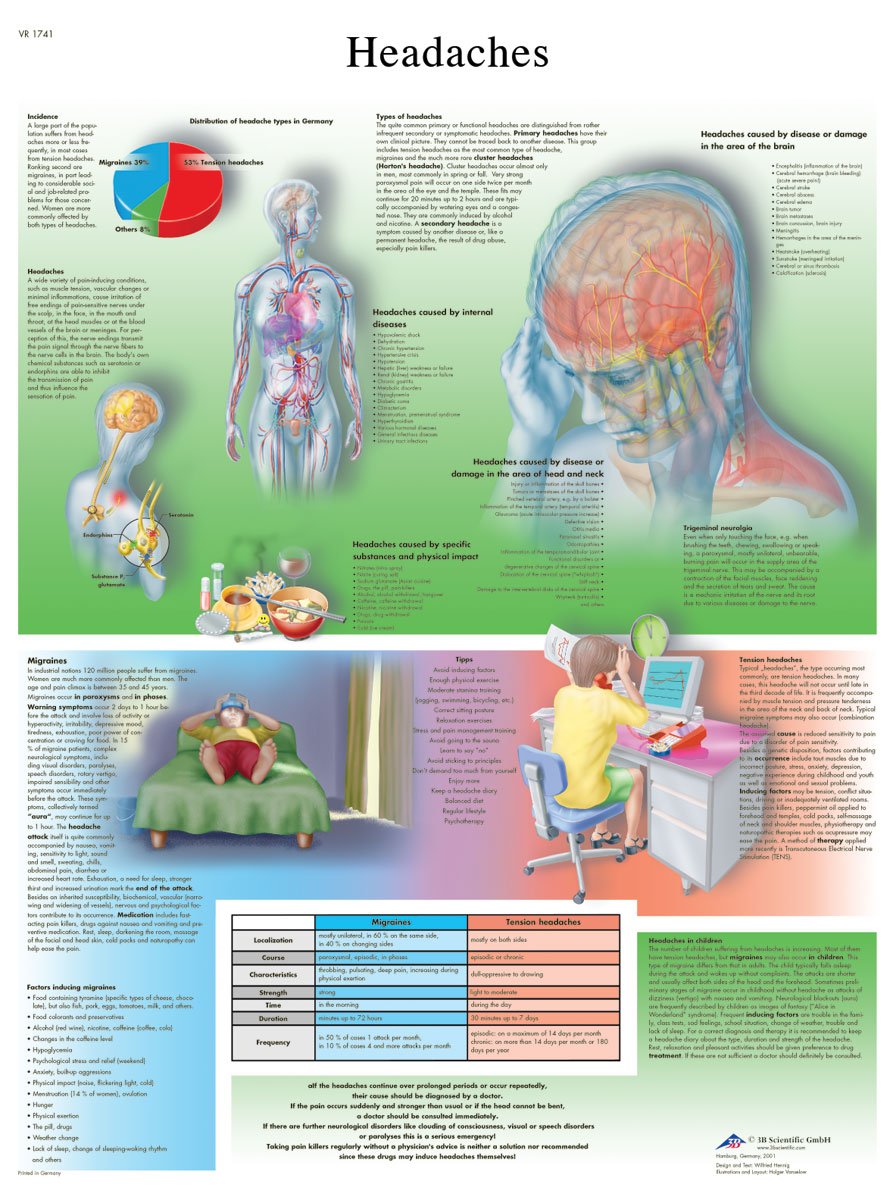 3b-scientific-chart-kopfschmerzen-anatomie-poster-50x67-cm-papierversion image 2