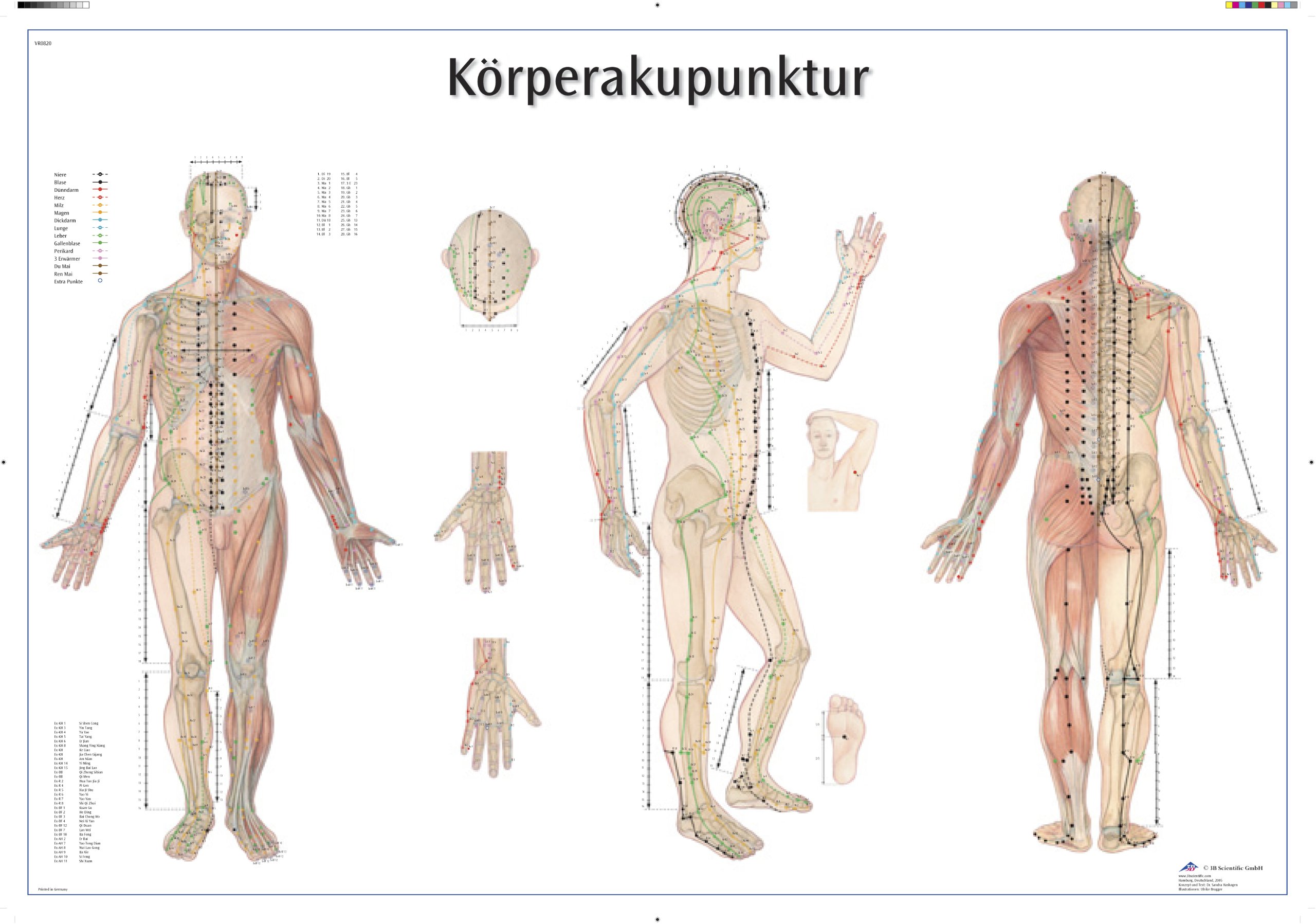 3b-scientific-k-rperakupunktur-lehrtafel-ganzk-rper-akupunkturpunkte-meridiane-9 image 1