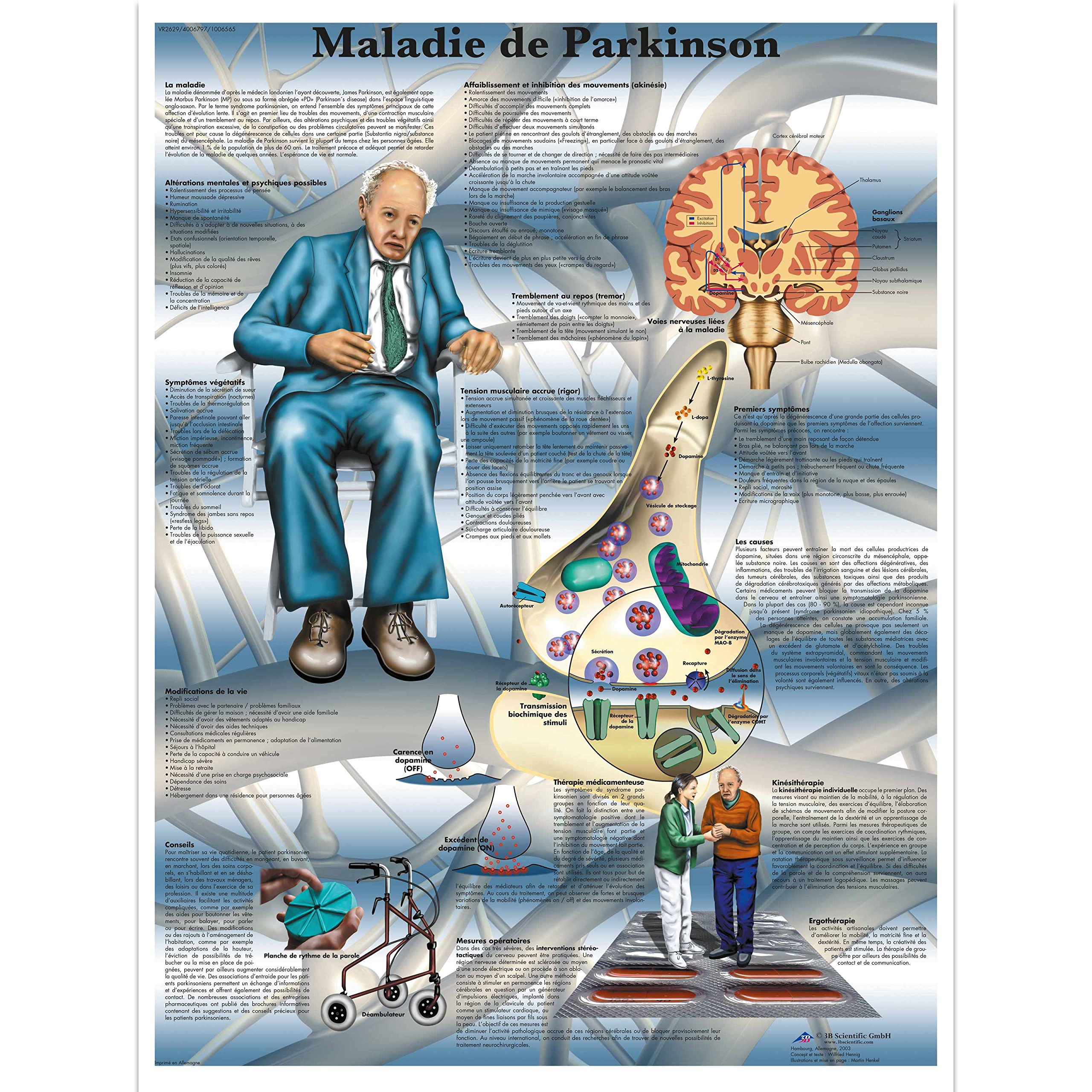 3b-scientific-lehrtafel-nervensystem-laminiertes-anatomieposter-50-x-67-cm image 4