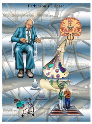 3b-scientific-parkinson-krankheit-laminierte-lehrtafel-englisch-50-x-67-cm image 2