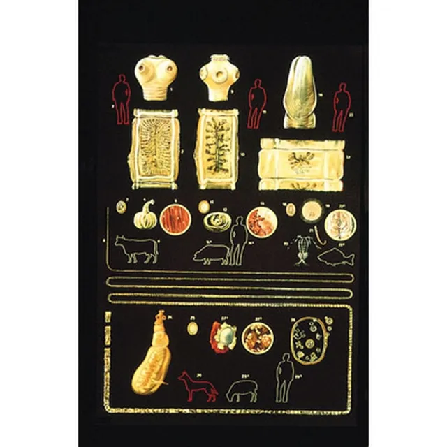 3b-scientific-lehrtafel-darmparasiten-i-anatomie-poster-84x200-cm-ohne-best-bung image 1