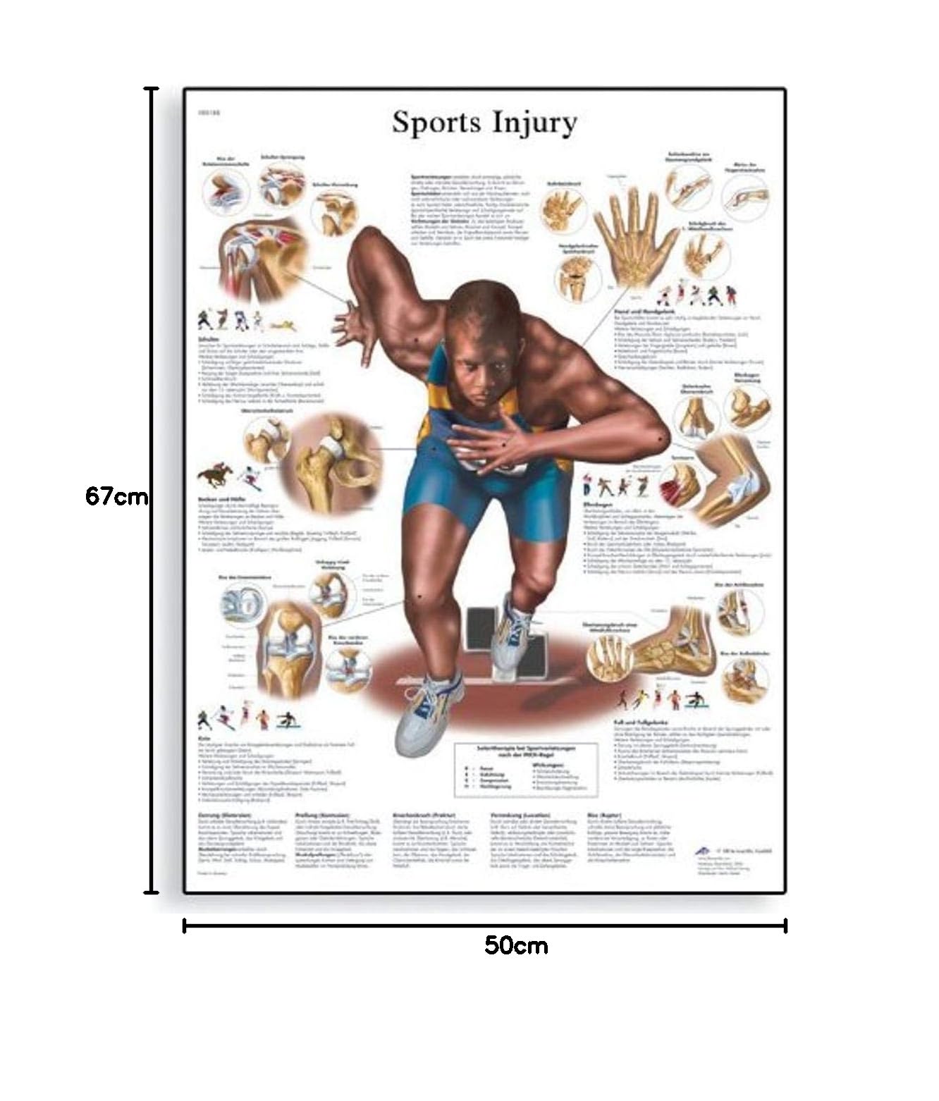 3b-scientific-vr1188uu-anatomie-sportverletzungen-lehrtafel-gedruckt image 2